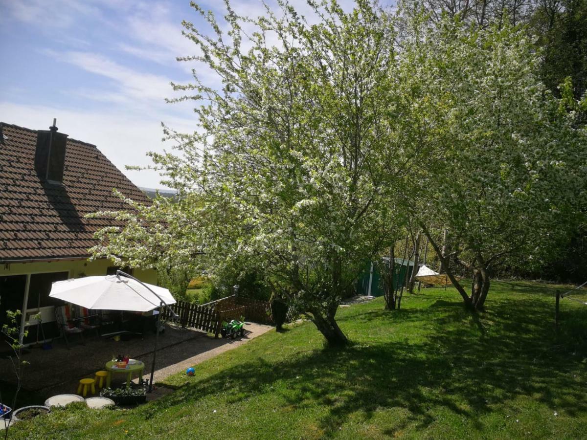 Ferienwohnung Am Kirnbergsee Unterbrand ภายนอก รูปภาพ